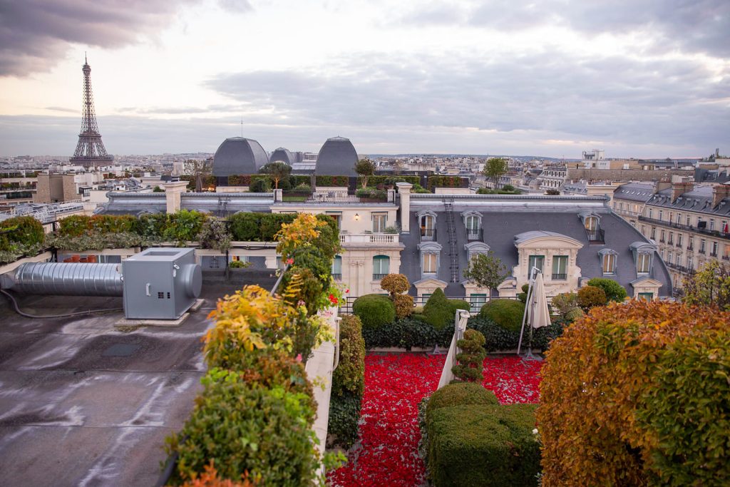 Luxury paris proposal ideas thousands of red rose petals as your engagement setting