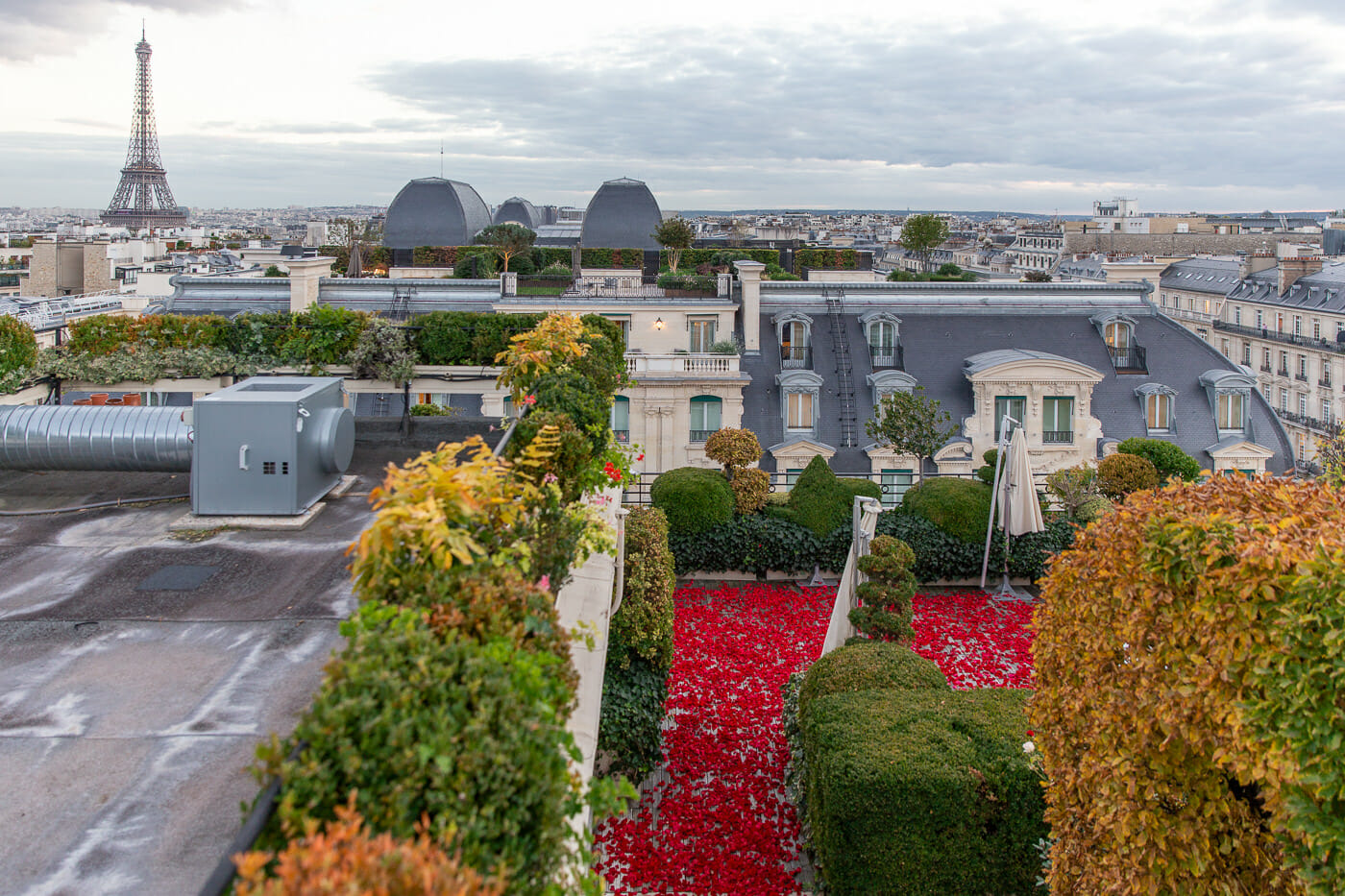 dream marriage proposal on the rooftop of the Raphael Hotel Paris with thousands of rose petals