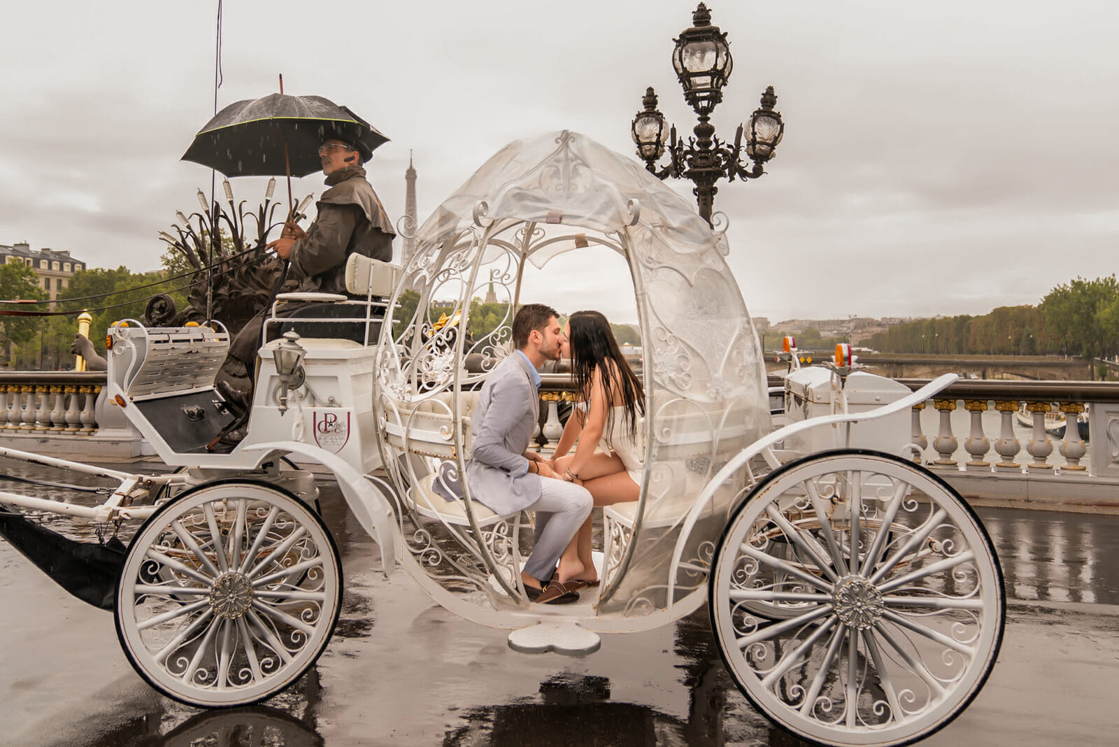 Cinderella horse carriage proposal in Paris