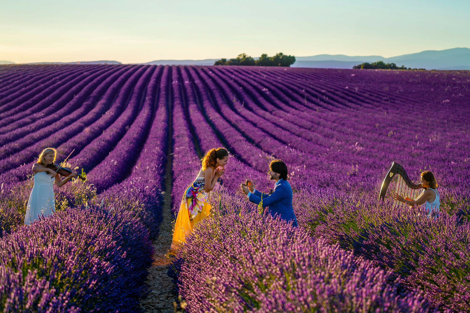 Lavender Fields Photoshoot and Marriage Proposal