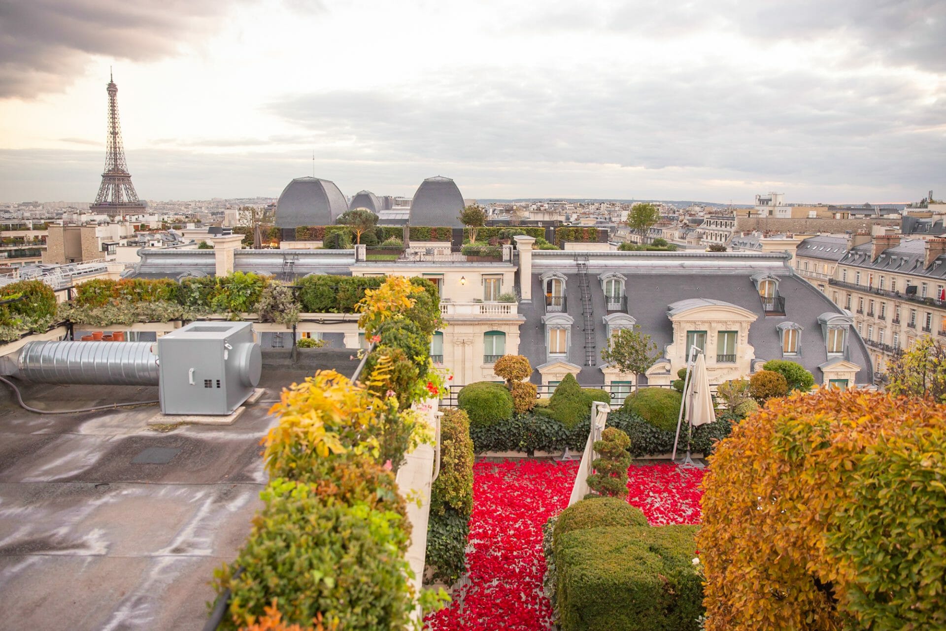 Rooftop terrace Paris proposal with thousands of red rose petals