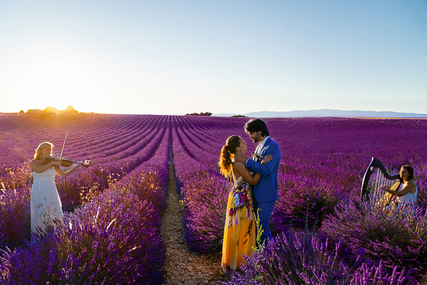Surprise proposal in the Lavender Fields in Provence France