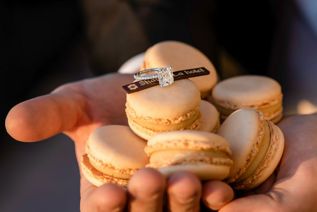 Shangri La Paris proposal