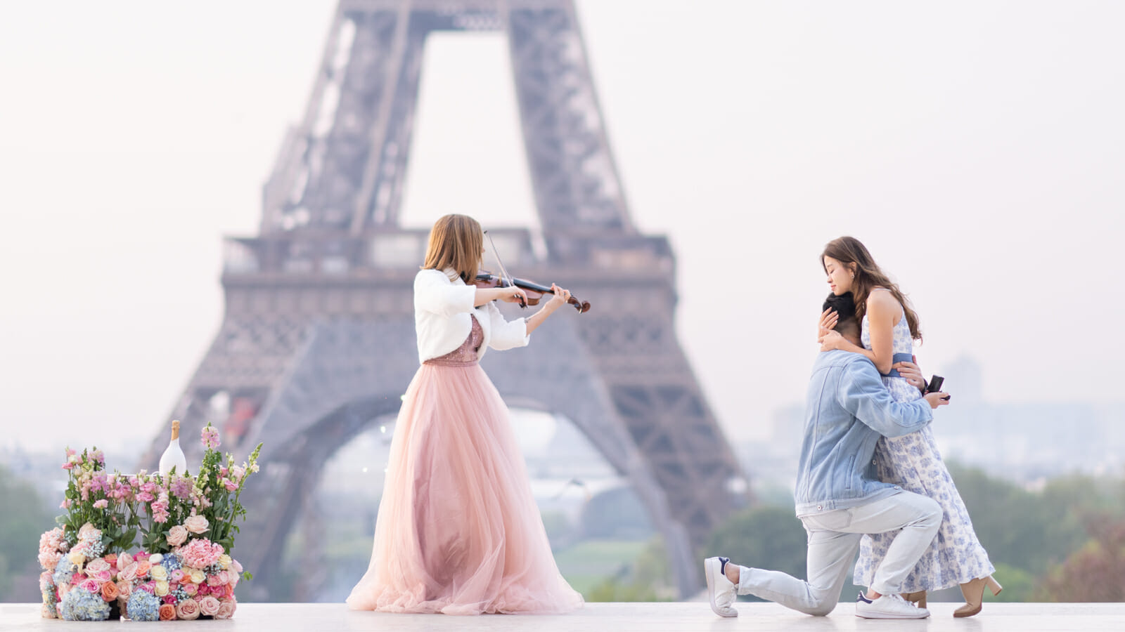 Musician Violinist proposal in Paris