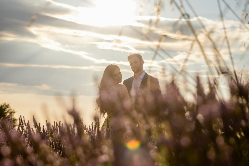 lavender fields photoshoot in Provence France
