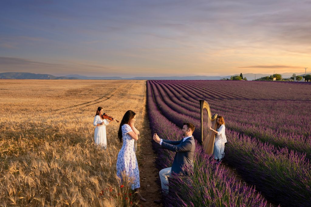 lavender fields proposal in Provence France