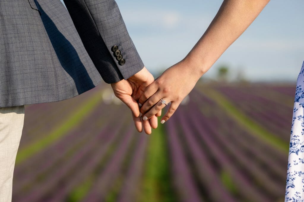 lavender fields proposal in Provence France